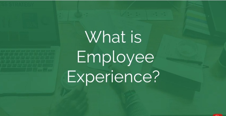 WHAT IS EMPLOYEE EXPERIENCE?